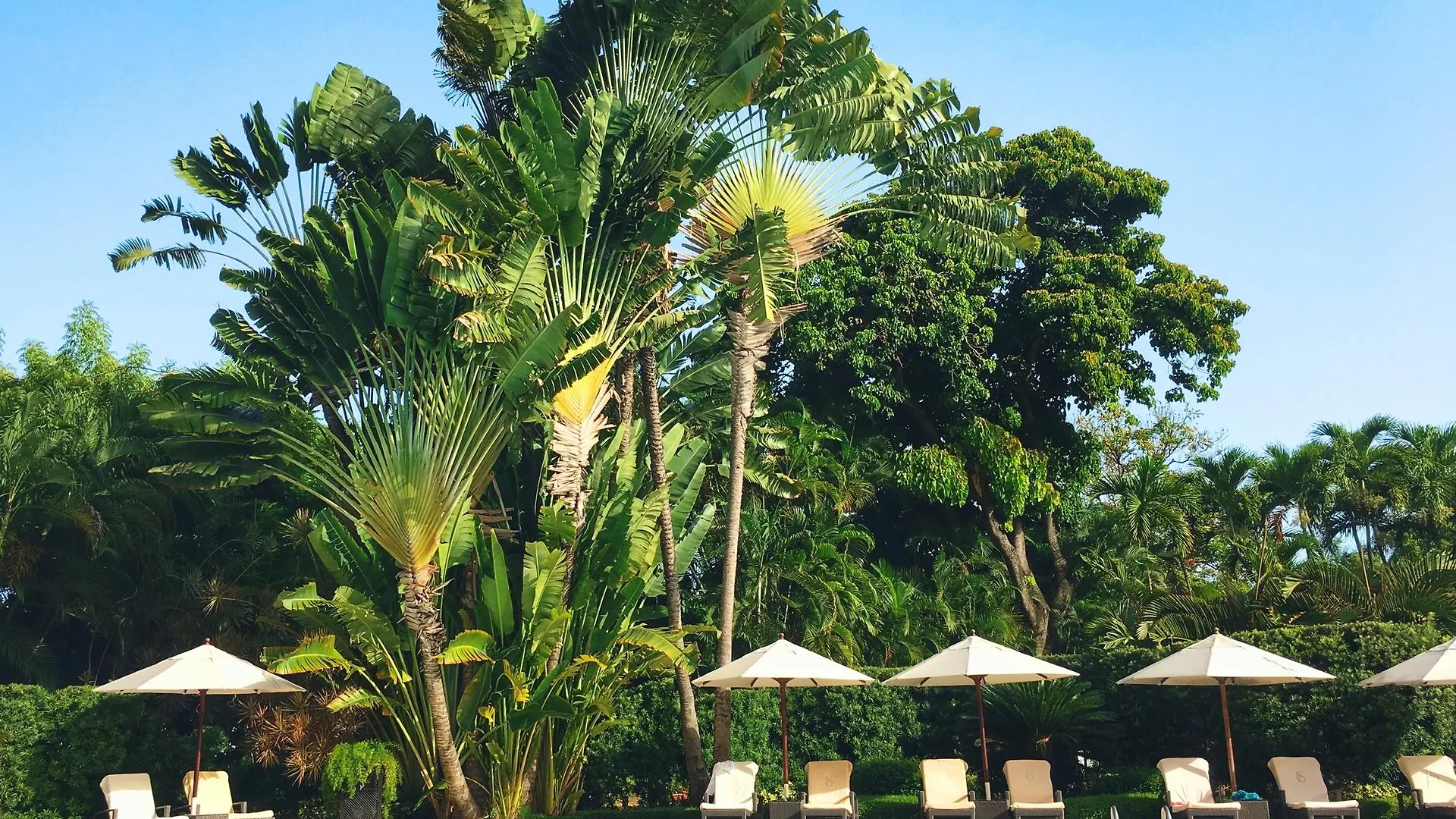El Embajador, A Royal Hideaway Hotel سانتو دومينجو